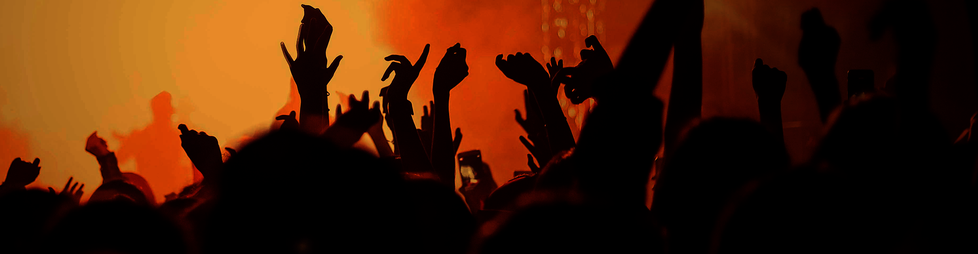 concert audience in silhouette from stage lights