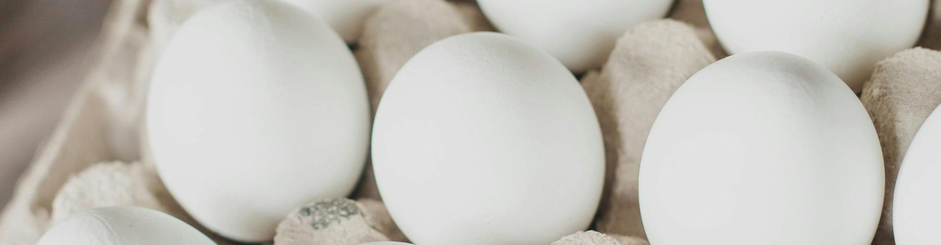 white eggs in a carton