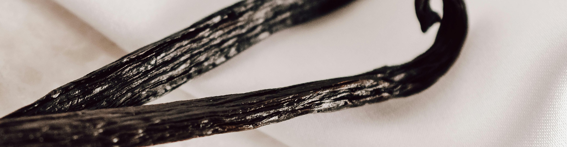 closup of vanilla beans